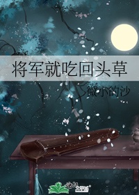 大唐荣耀免费全集