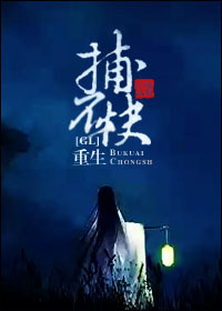忘却的银狐