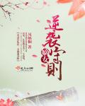 翅膀之末