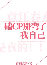 贵妇的面纱