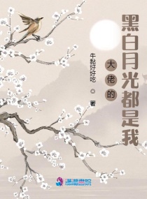 海贼王之邪欲后宫全文