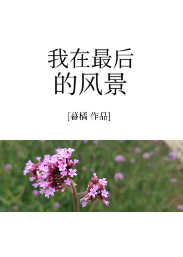 永久域名紧急升级访问