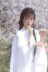 五感图在线
