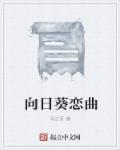 攀上漂亮女局长