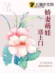 作家的谎言有露吗