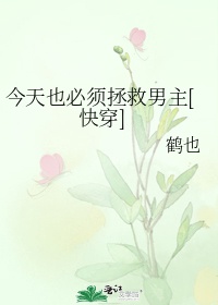 人形母犬产乳改造