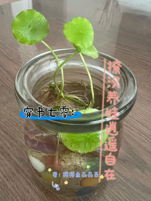 青春草视频在线免费观看