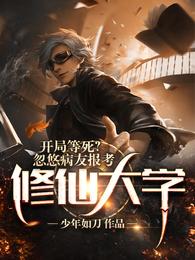 妻子的背叛韩剧免费播放