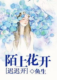 佐佐木明希在线播放