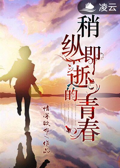 美国视频免费