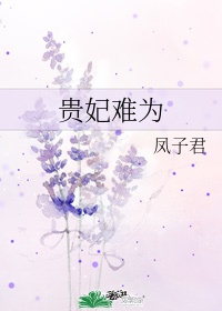 荣耀x20max