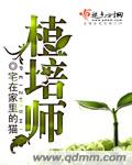 欲盖弄潮小说
