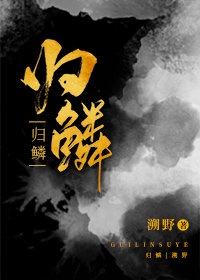 新山兰高清电影二区