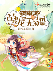 一锅双星