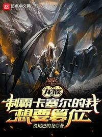 大脸的美妙生话
