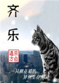 裴勇俊 丑闻