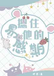 月夜高清完整版免费看