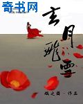 德国大8BW