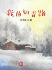 海棠书屋自由的小说器官网
