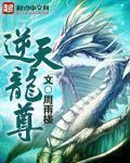 魔仙玲珑