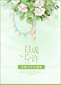 h片在线观看