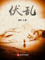 大明王朝1566电视剧