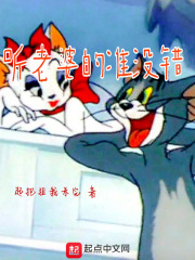 黑狐之风影方天翼