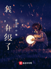 娜美罗宾女帝齐上阵