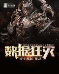 银河奥特曼中文版免费观看