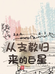 正气寻妇录未删节