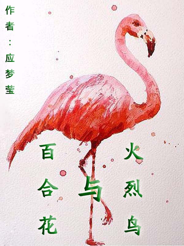 乐视直播