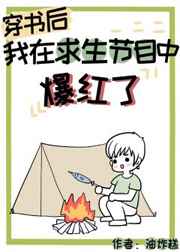 长期固定炮的后果