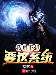 从镜子里看我怎么C你的小说