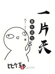李子安余美琳小说