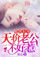 穿越之娇花难养h 豆浆