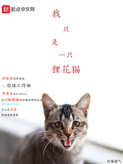 谜之魔盒2