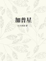 霜花店迅雷