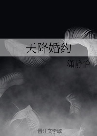 少年骇客最终进化3风车