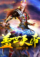 类似猫咪 快狐的软件