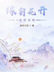风犬少年的天空在哪个app可以看