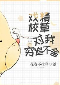 男女上下爽无遮挡午夜免费视频