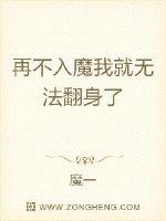 影视小说排行榜