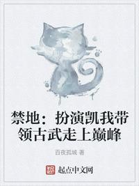 曰皮视频