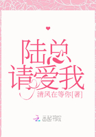 无眠的夜晚