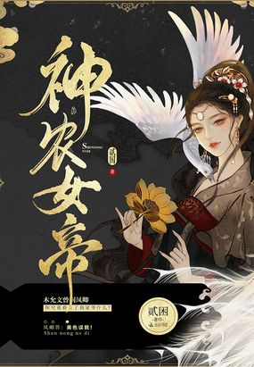 q2024影视理想禁区