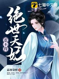 我的团长我的团48集免费观看