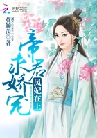 黛妃 小说