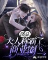 带肉全文无删减小说