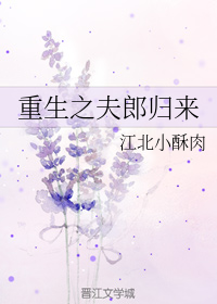 我老婆是大佬3
