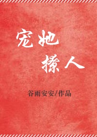 矢车菊花语